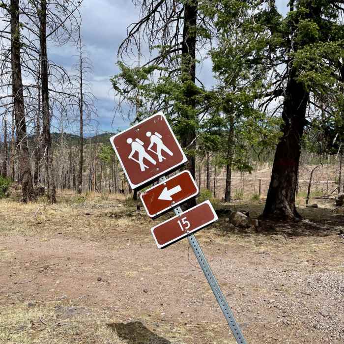 Near Continental Divide Trail: New Mexico Section 15