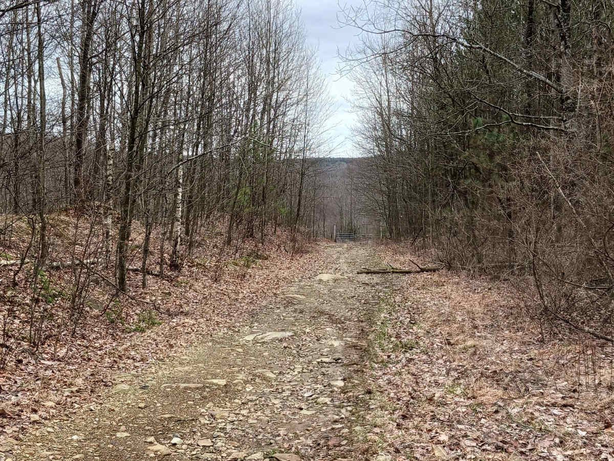 Rocky Run - Rock Run Recreation Area photo 5