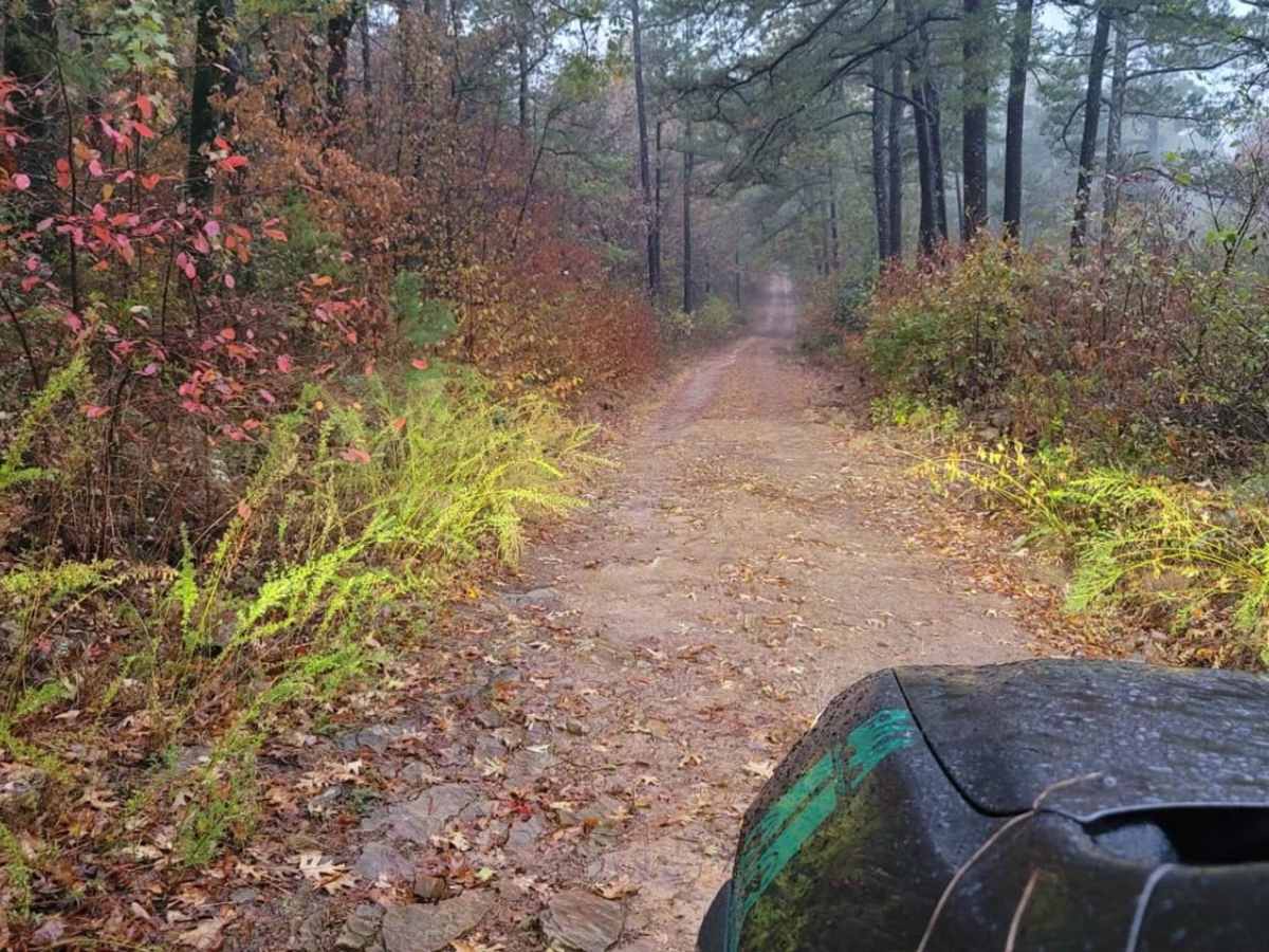 Petite Jean trail photo