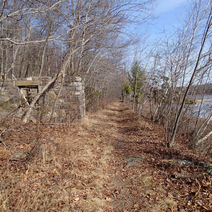 Ruins along Hank's West Trail Near Loop around Hank's Pond and beyond Stephens Road