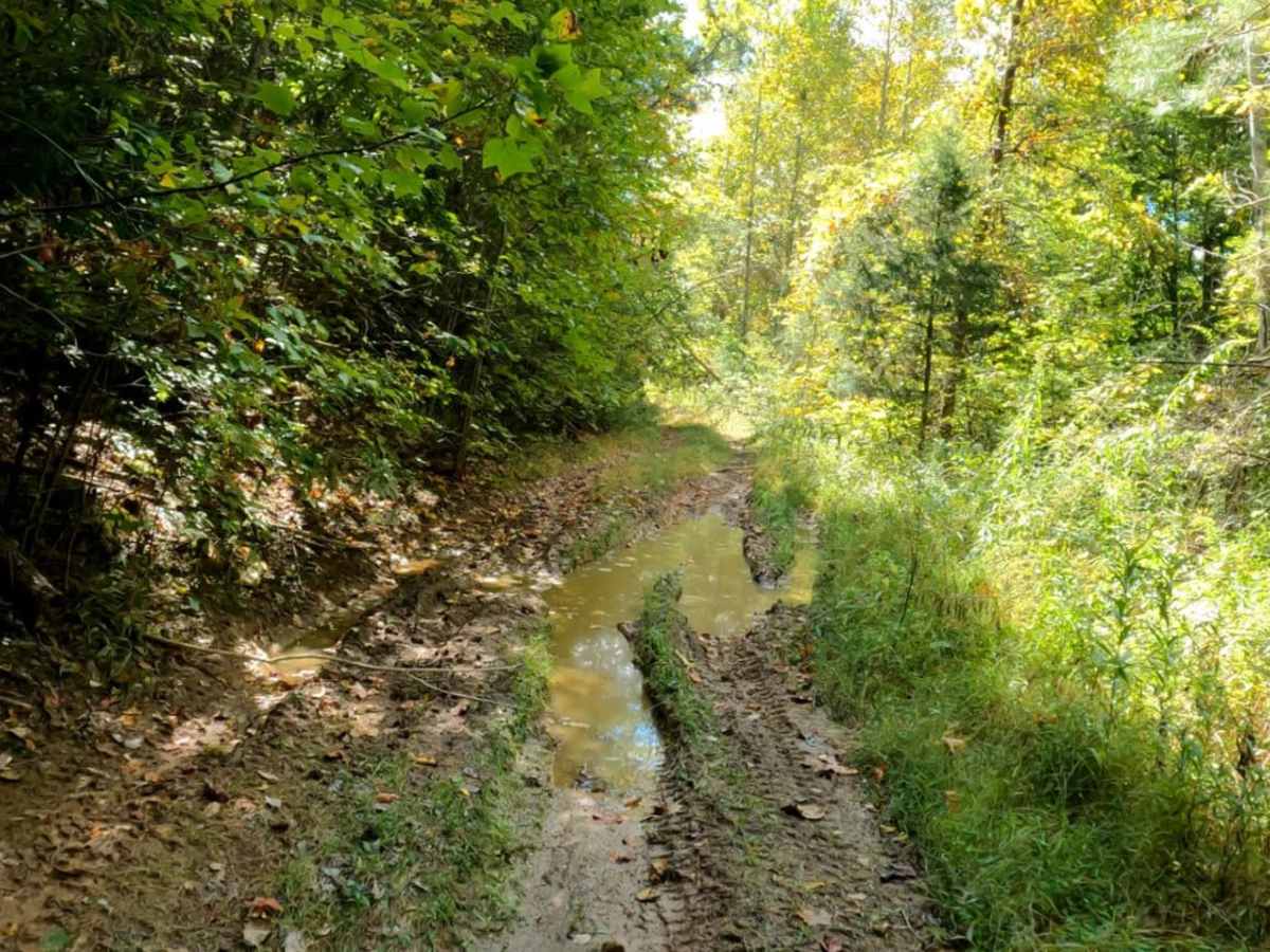 Wentworth School Rd photo 2