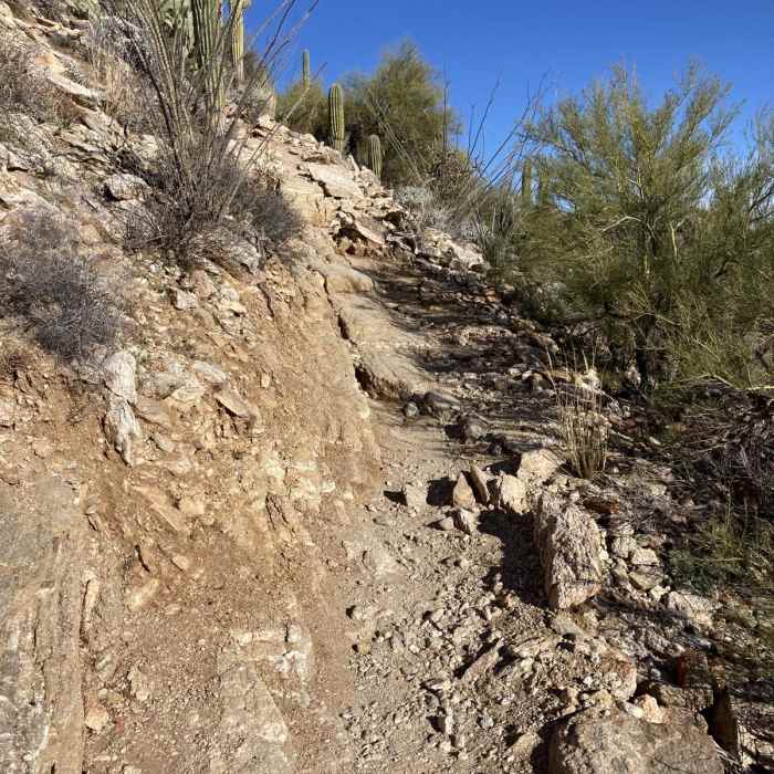 Near Blackett's Ridge