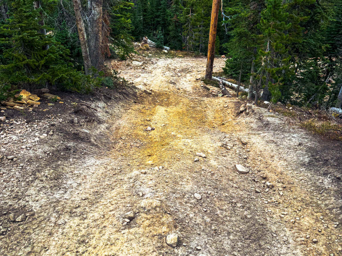 Echo Lake Trail photo 4