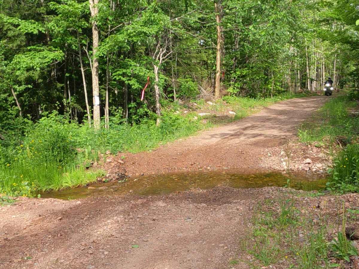 County Road GGI - 310 trail photo
