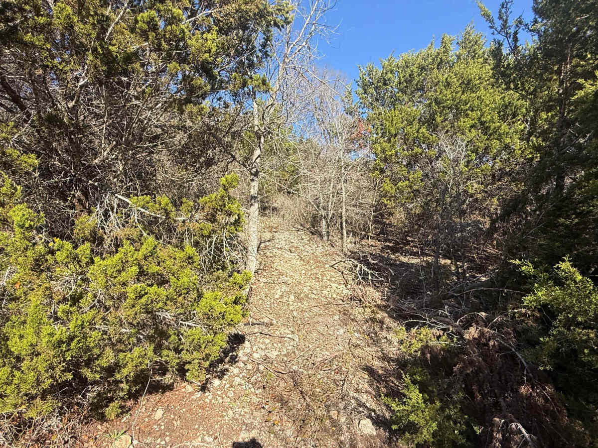 Widow’s Switchback trail photo