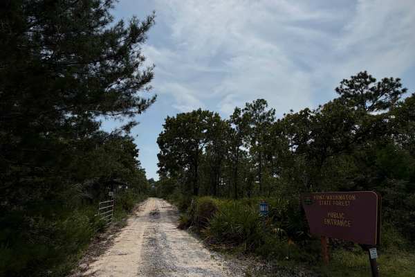 Point Washington State Forest Highway 98 Entrance