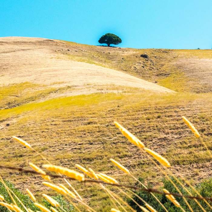 Near Castle Rock Trail via Stage Road Trail