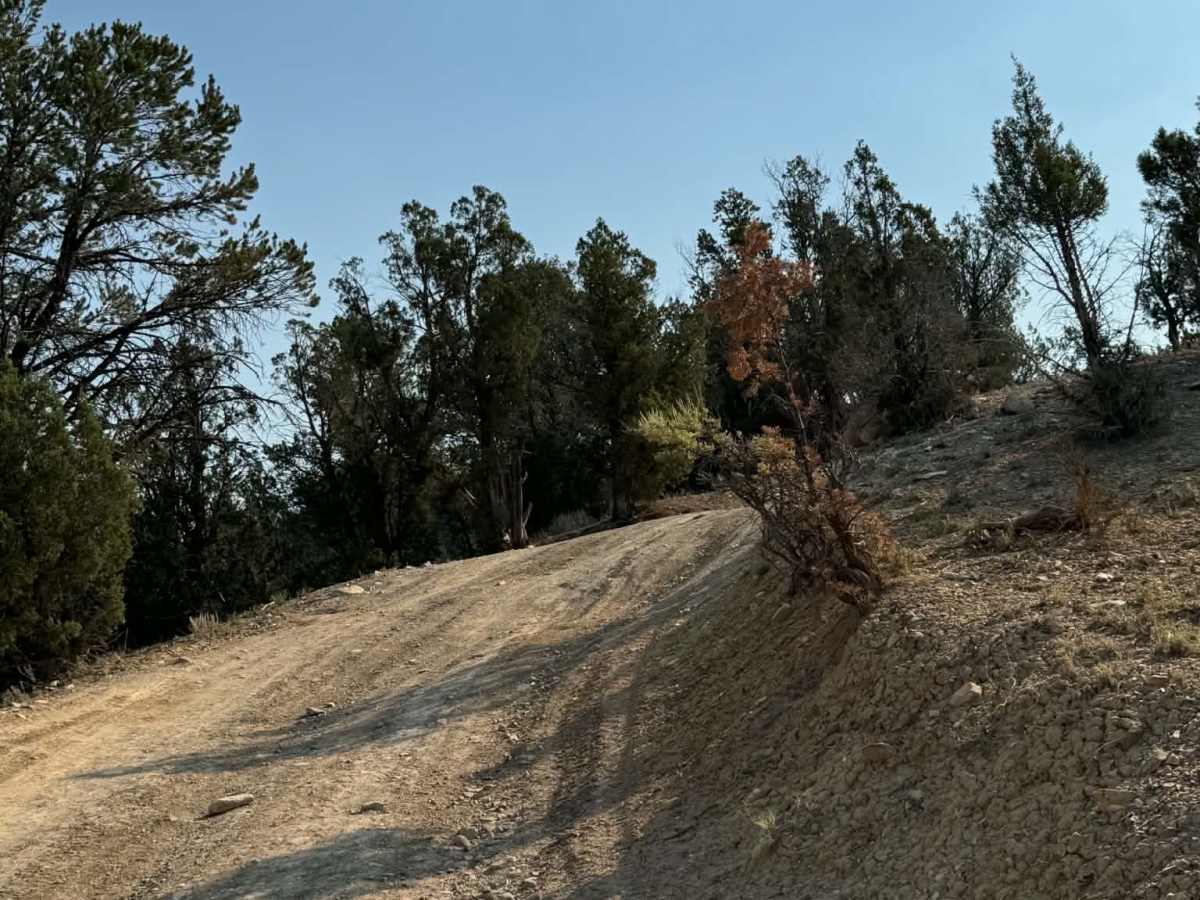 Rifle West photo 5