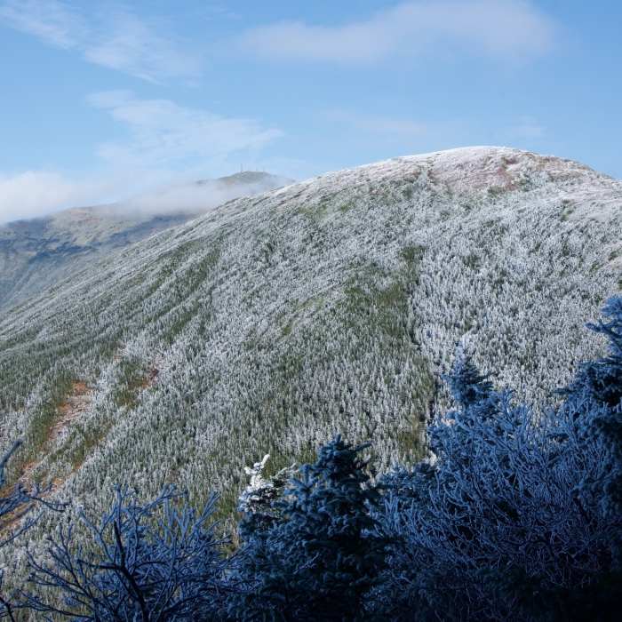 Looking toward Mount Washington from Edmands Path. Near Cohos Trail (White Mountain Section)