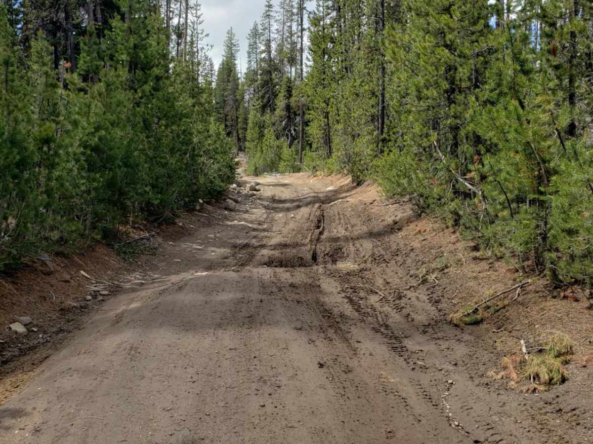 Summit Lake Run photo 2