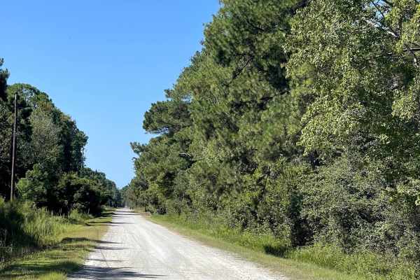 Juniper Road