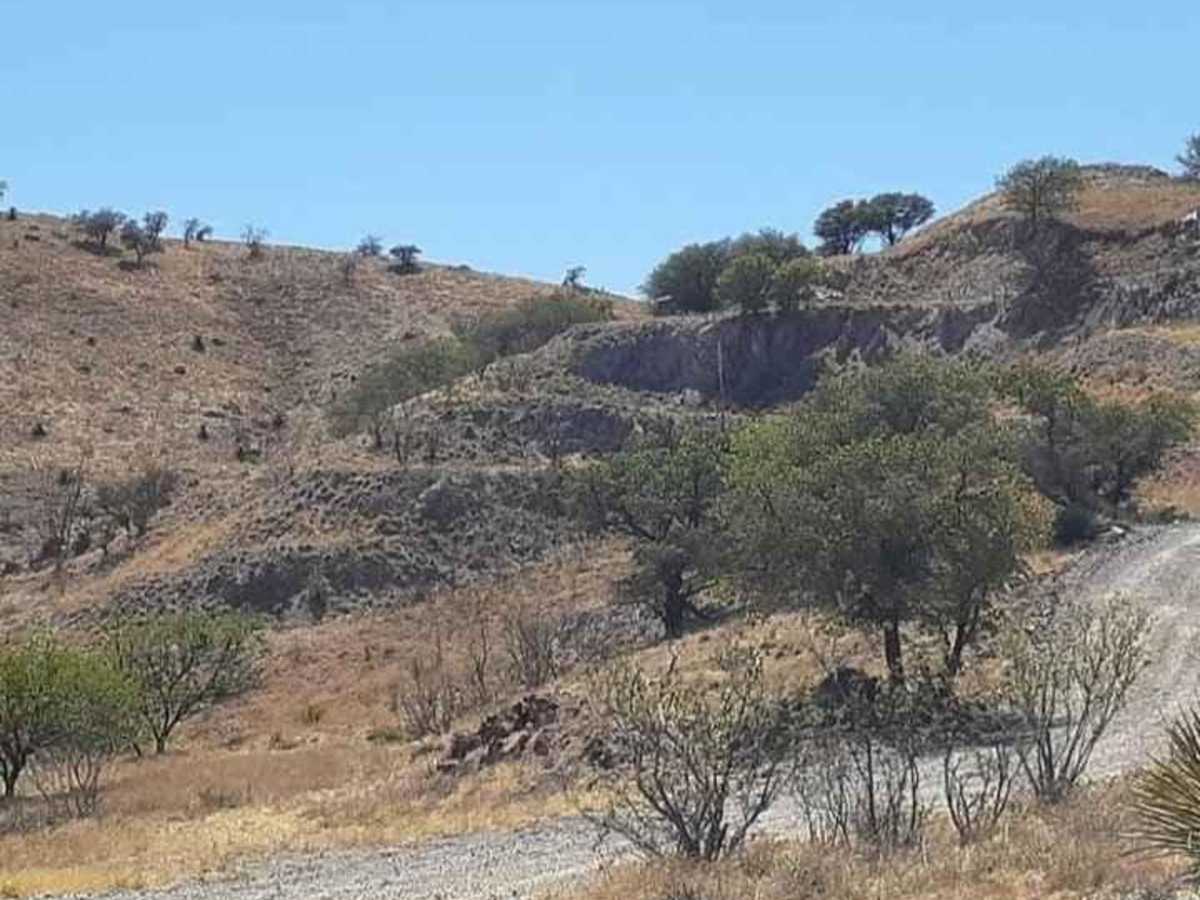 Yellow Jacket Loop trail photo