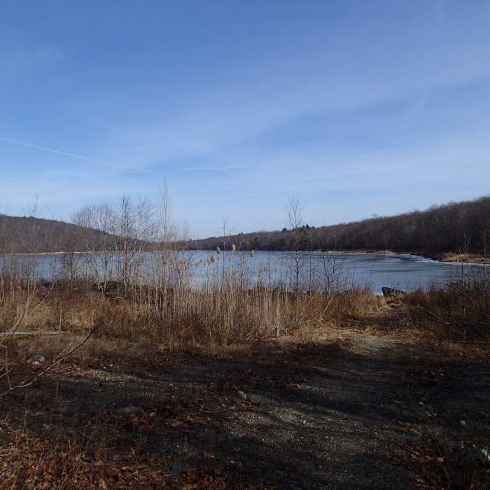 Hank's Pond Near Loop around Hank's Pond and beyond Stephens Road