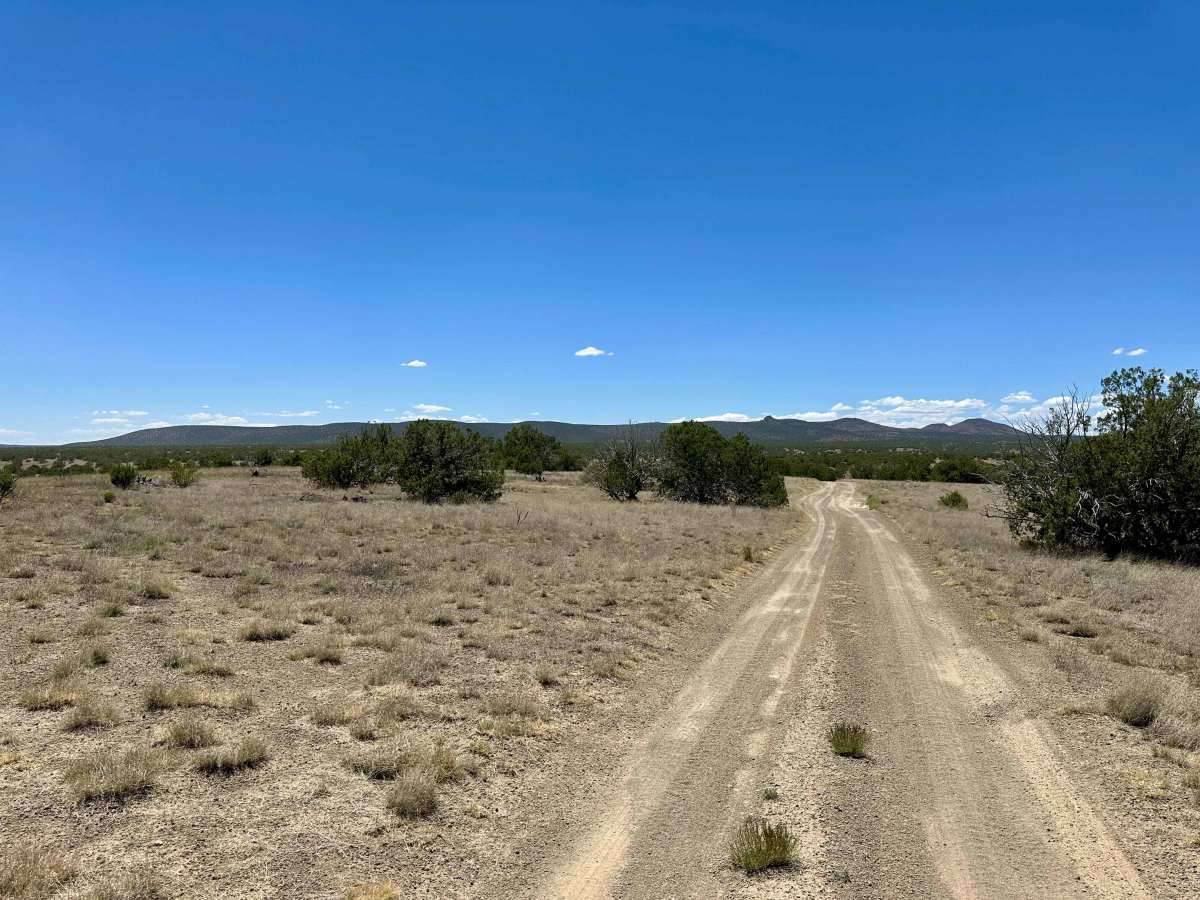 Dispersed Camping Loop trail photo