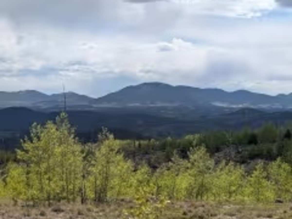 Predator Road photo 6