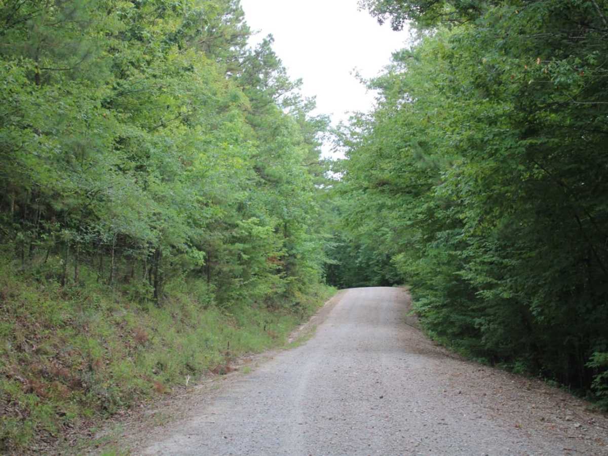 Exit to Tabor Mountain Road photo 4