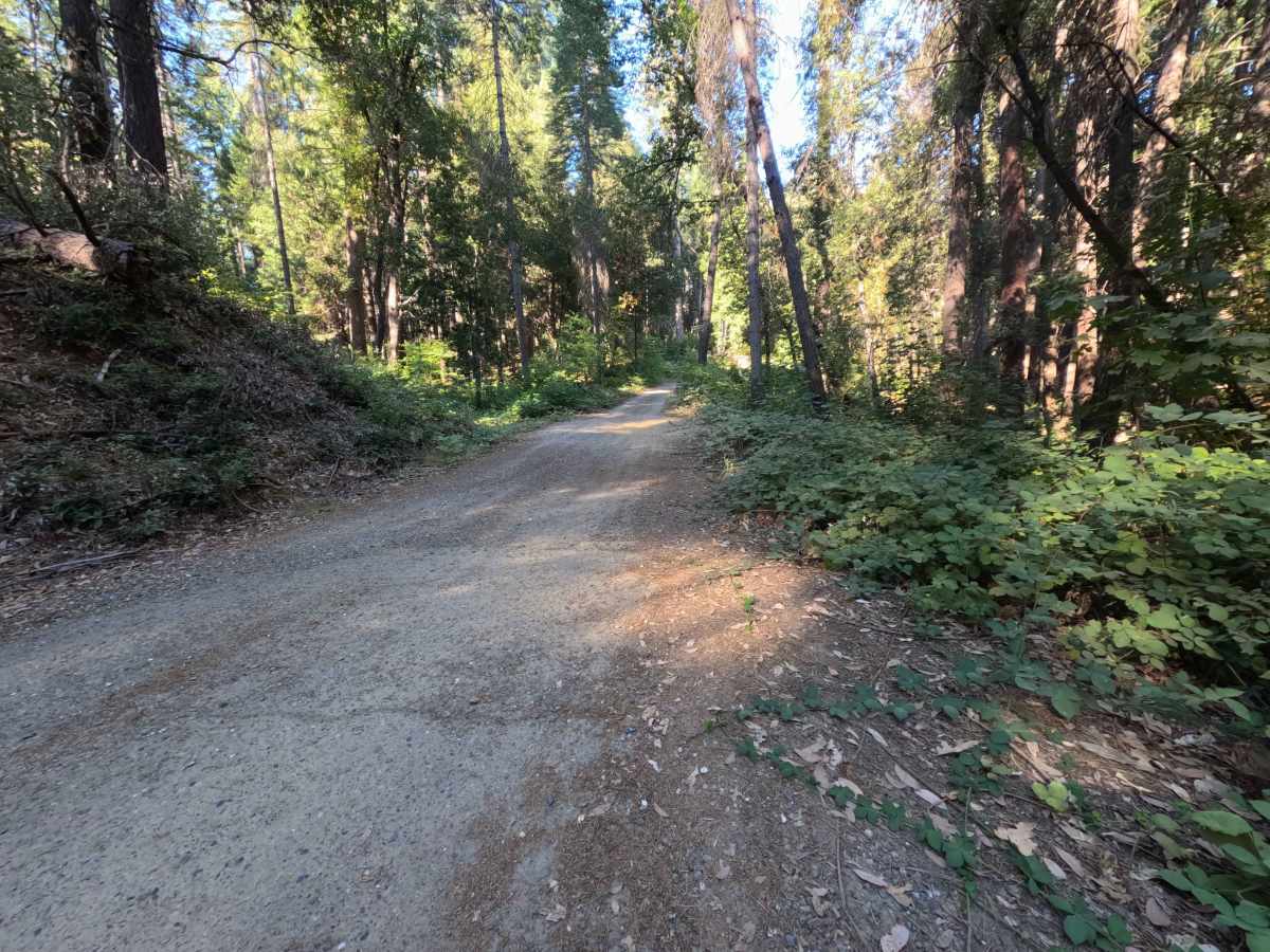 Dry Creek - FS 19N25  trail photo