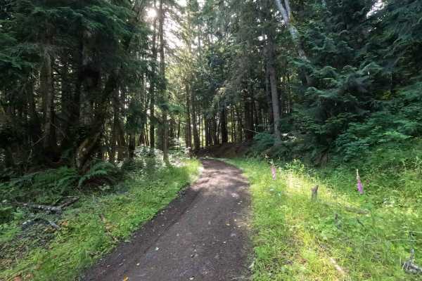 Walking Horse Trail