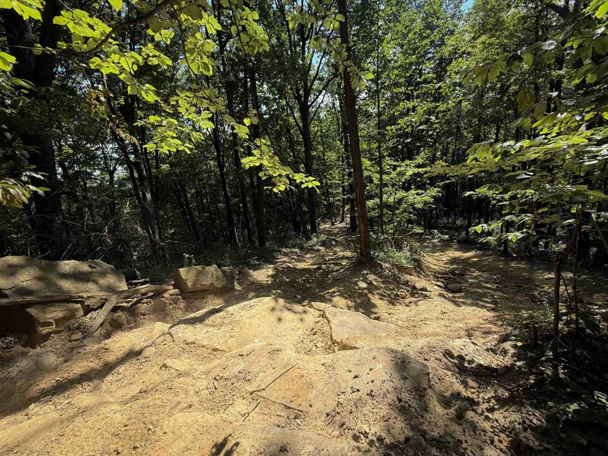 High Rock Trail photo 3