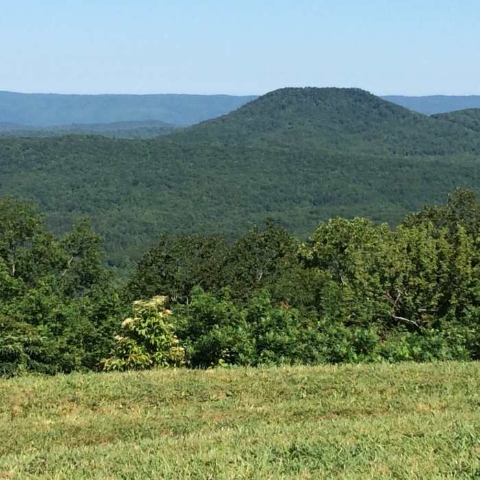 Near Benton MacKaye Trail - Childers Creek to Unicoi Gap - Backpack