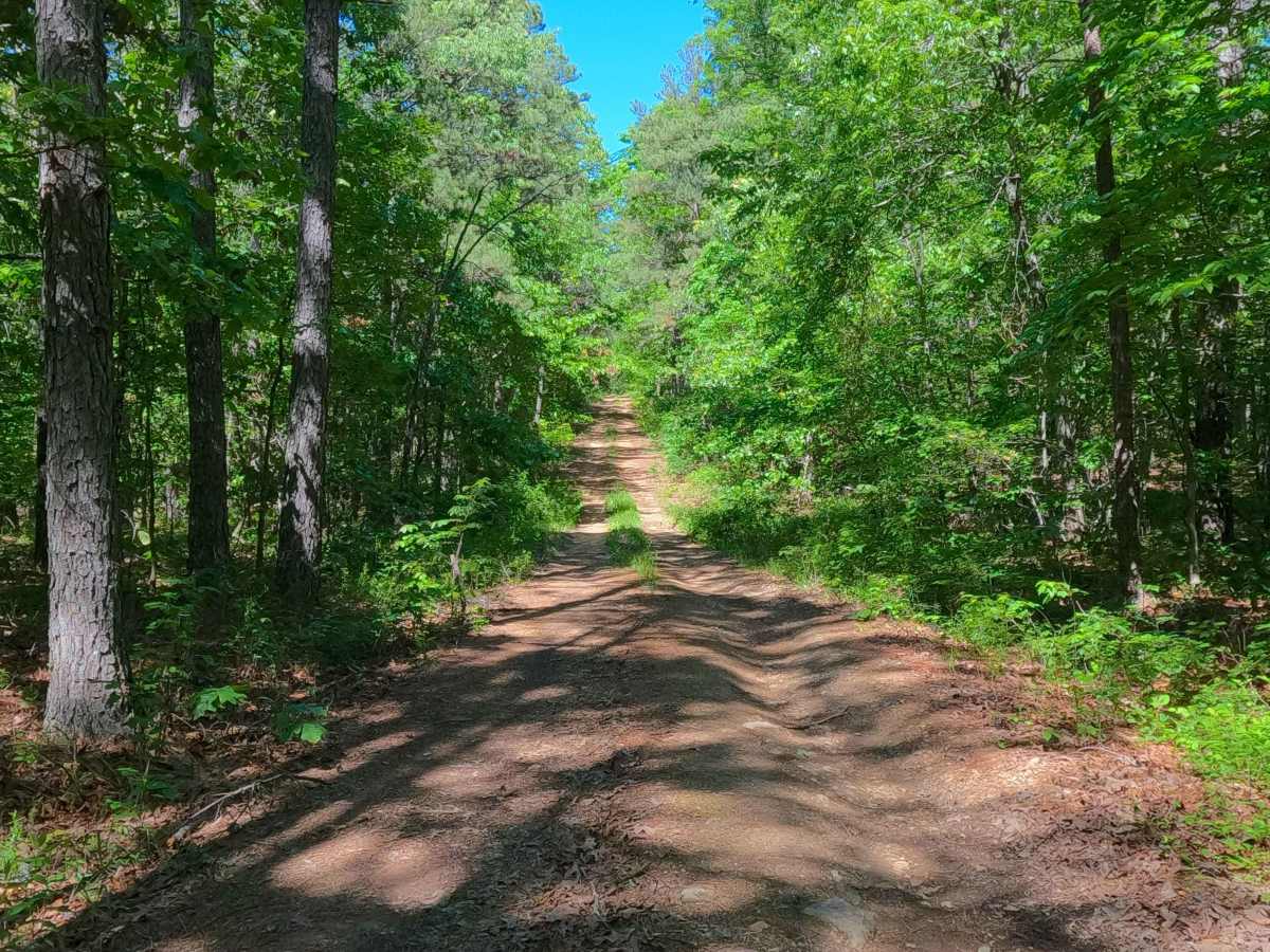 South Boundary - FS 3755 photo 6