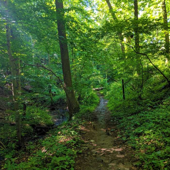 Near Vineyard Springs Footpath Alternate