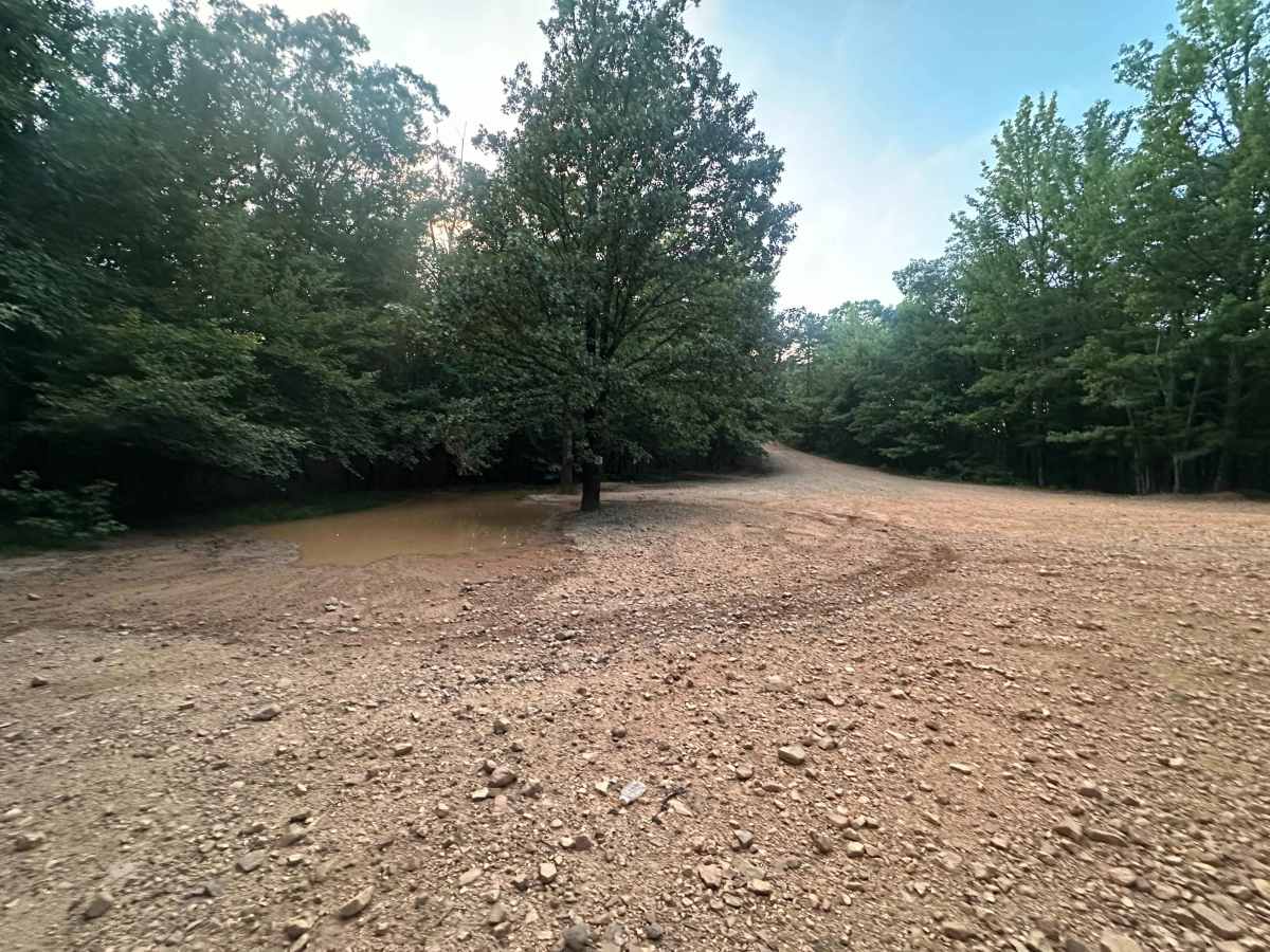 AR 3 - Main Park Road photo 2
