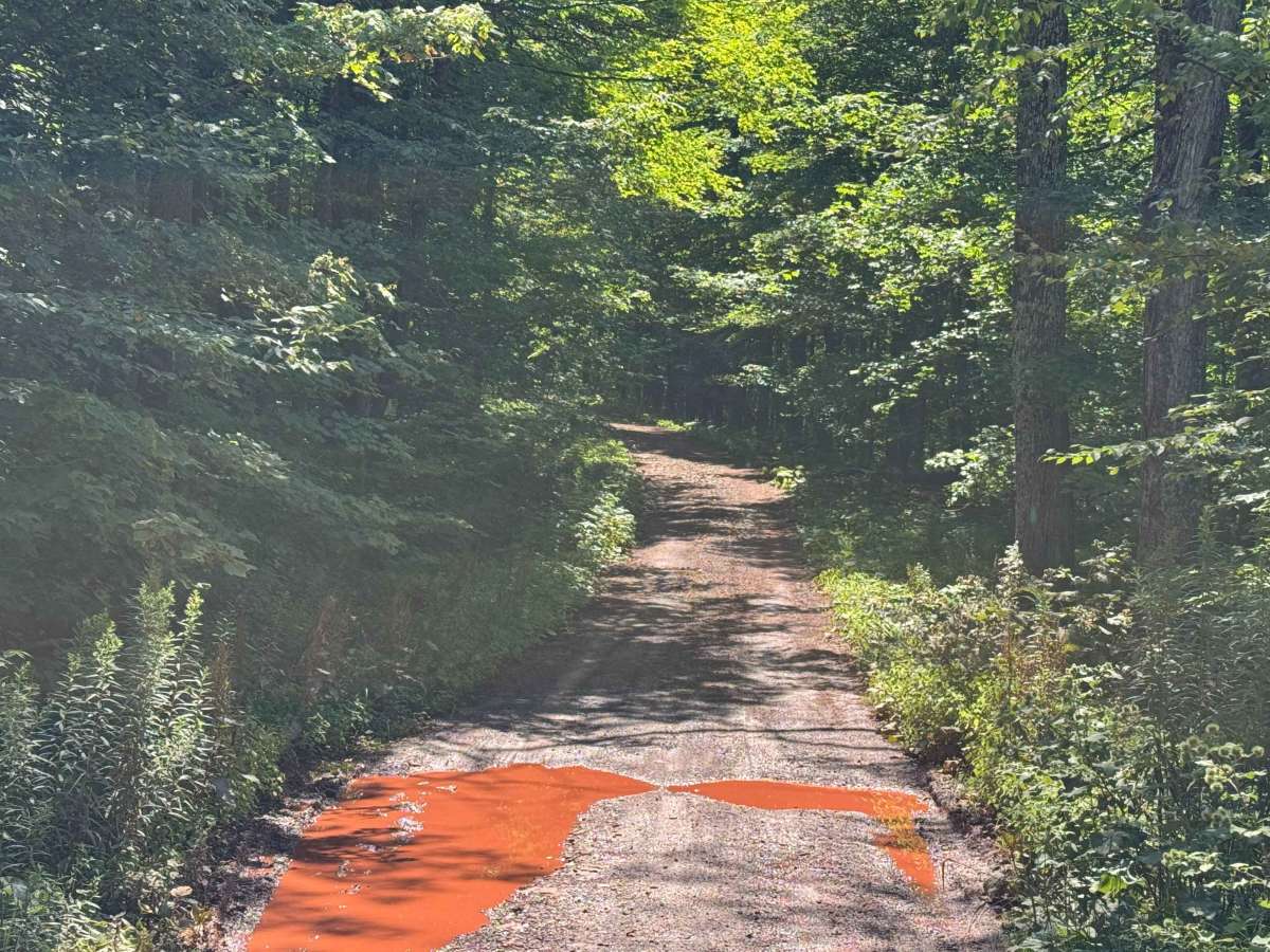Bluebird Road photo 4