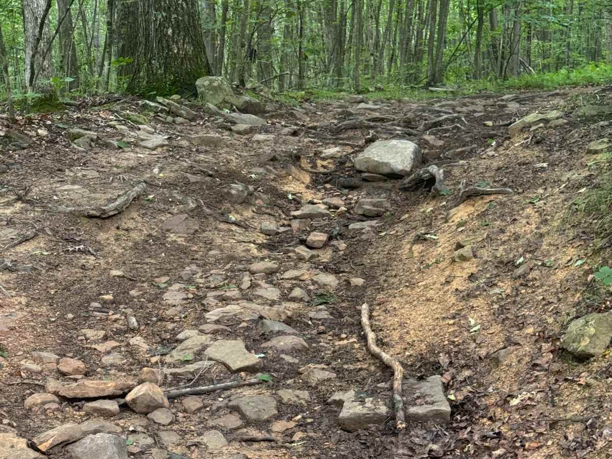 Trail 57 photo 4