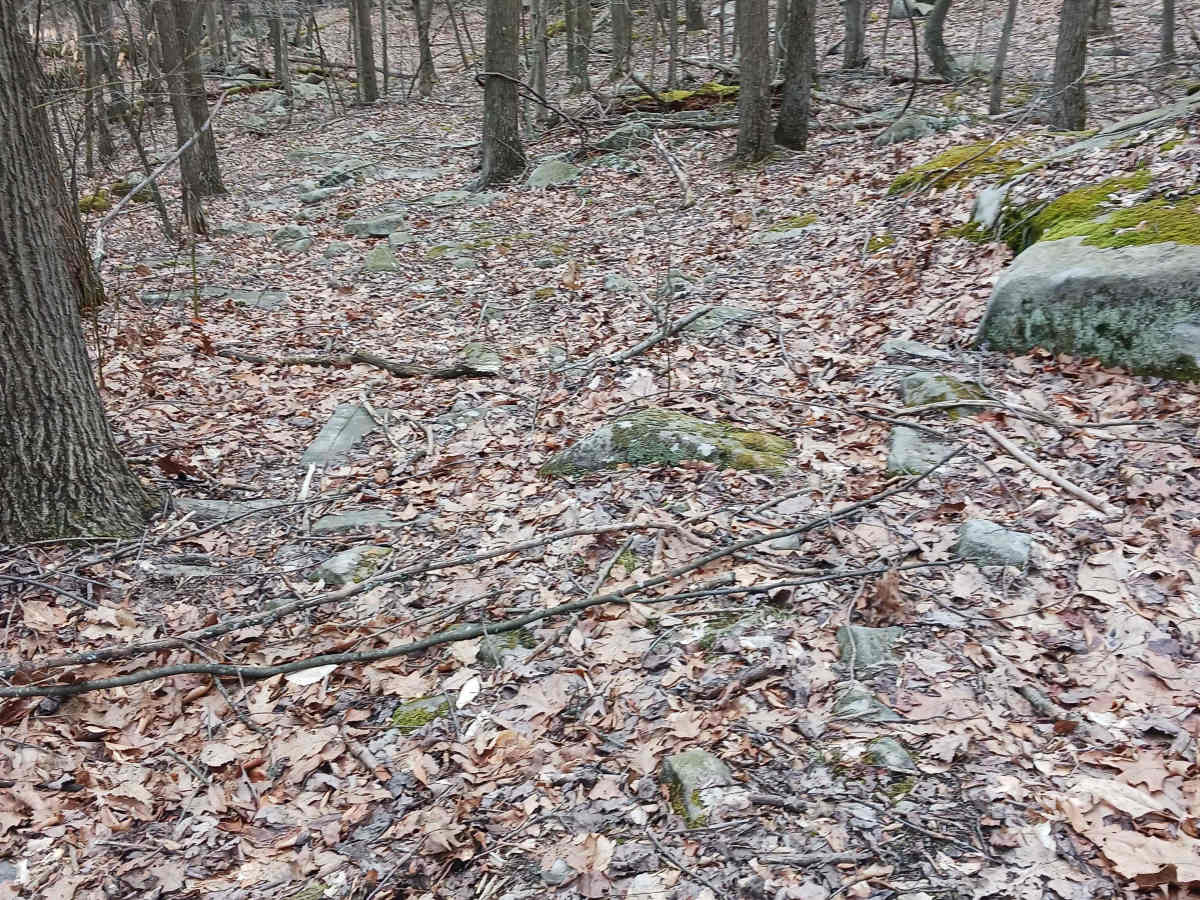 OHV 61 - Rock Run Recreation Area photo 4