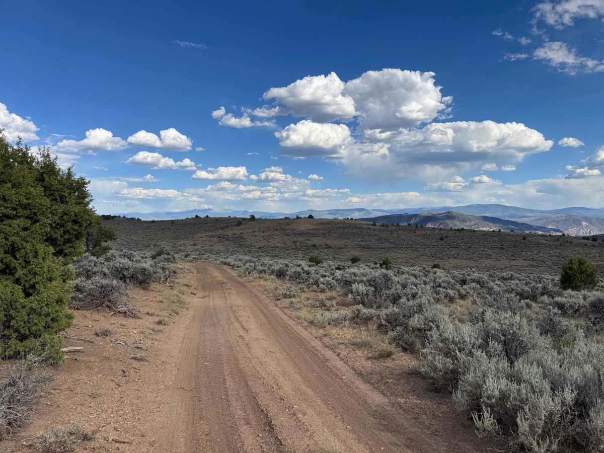 BLM 8453 photo 2