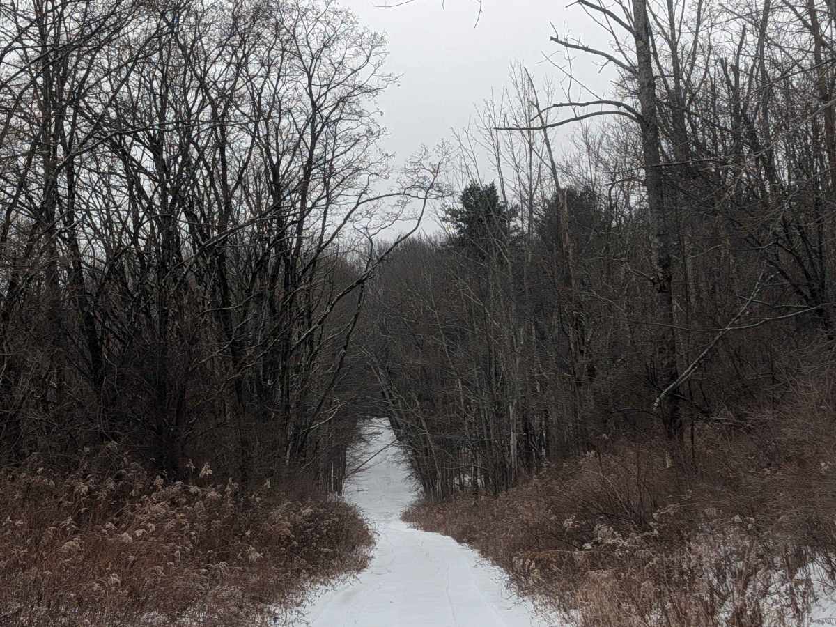 Hakes Road photo 6