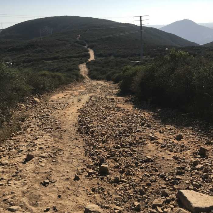 Near Ridgeline Maintenance Road