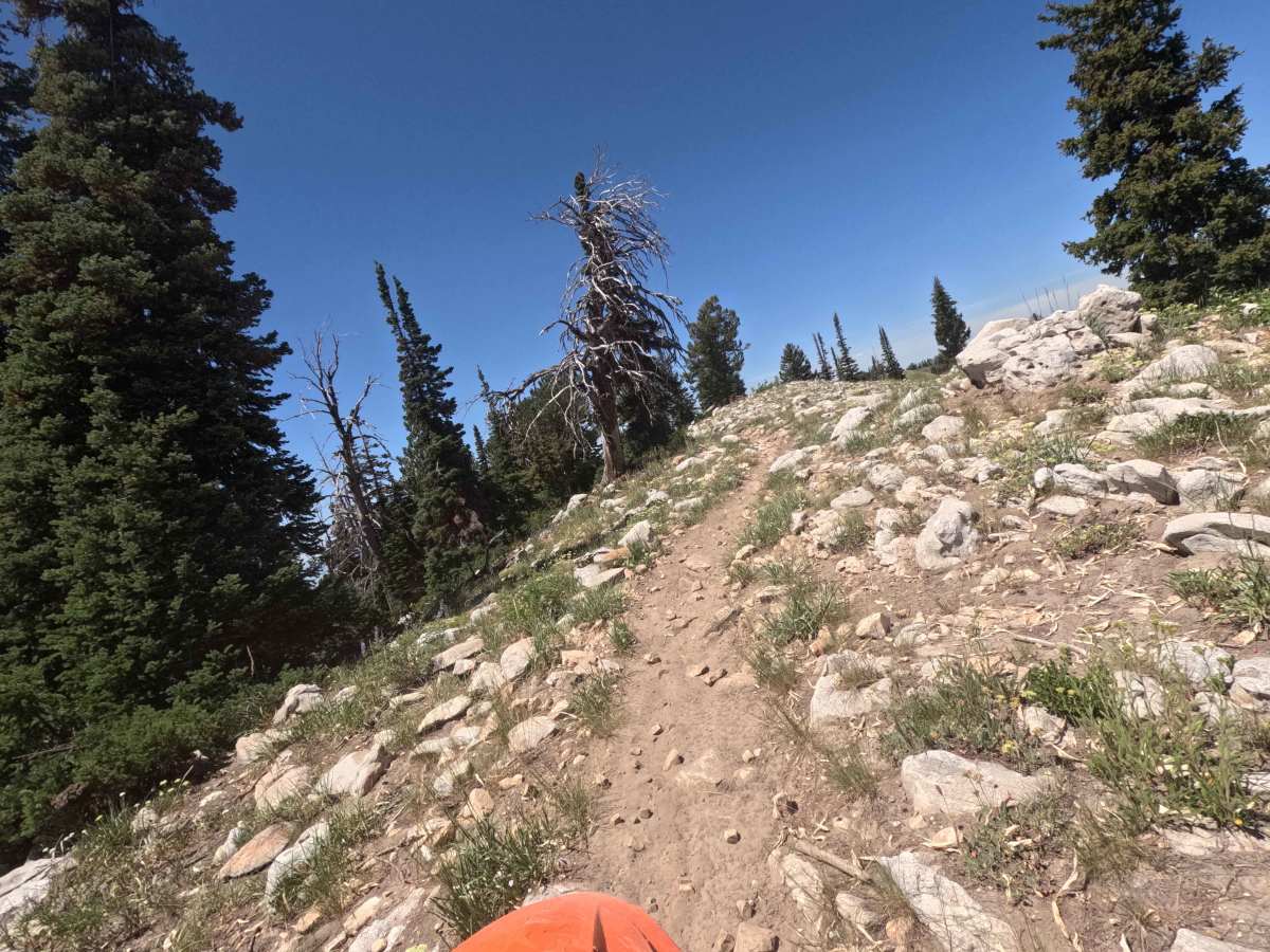 Highline Singletrack photo 4