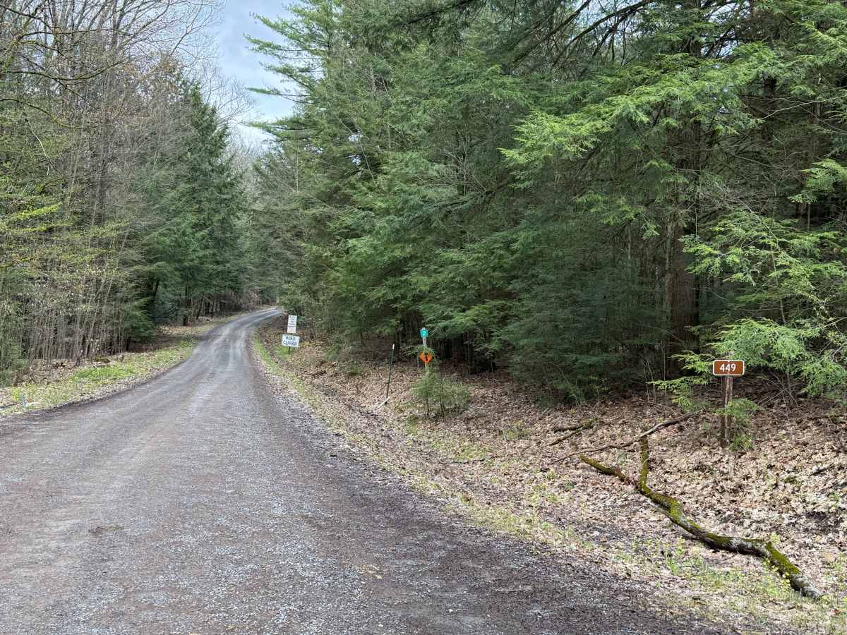 Midway - FS 449 trail photo