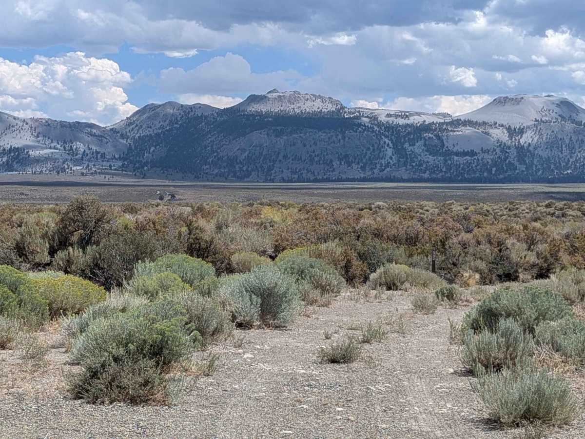 Forest Service Road 1S52 trail photo
