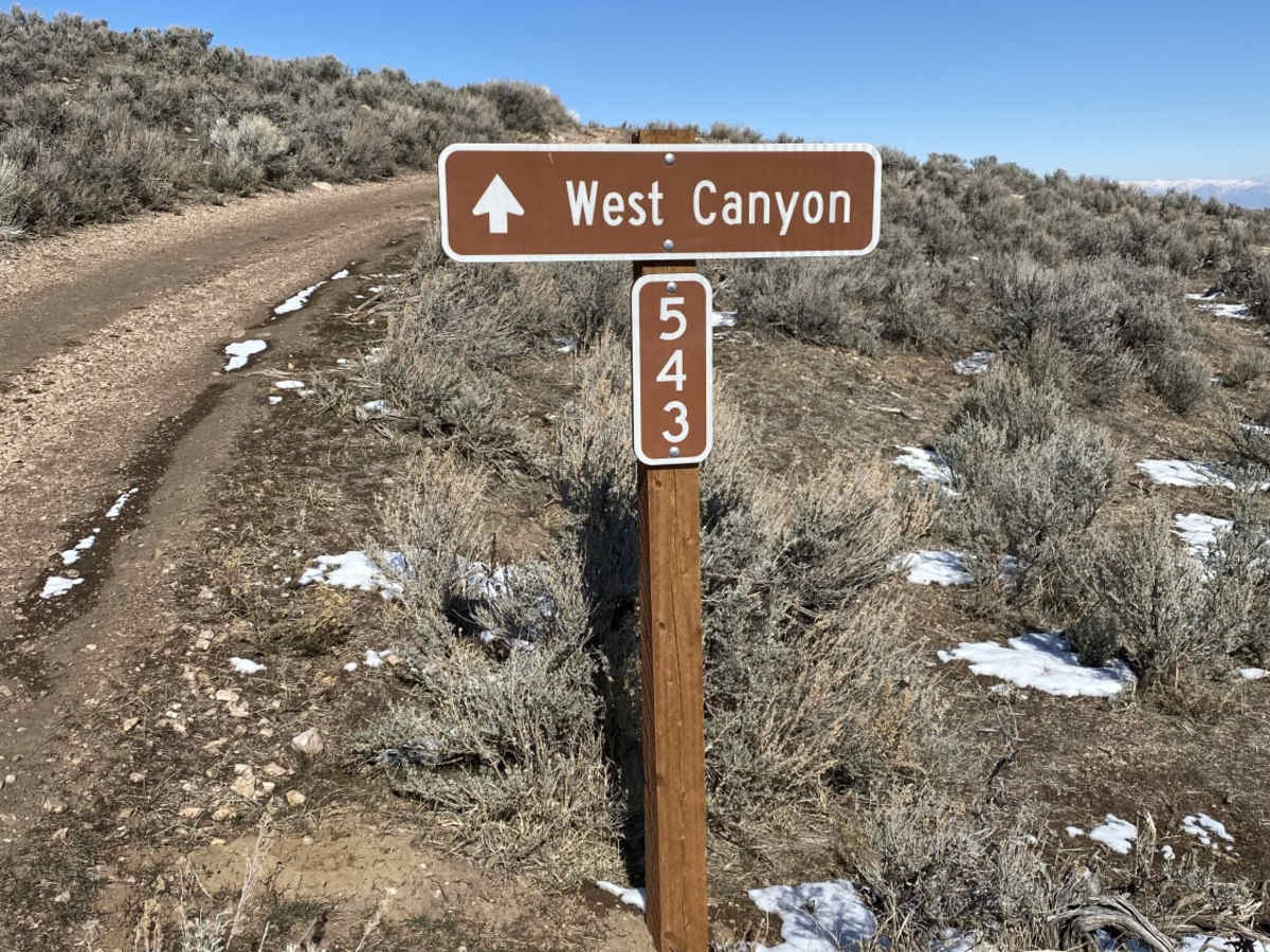 Magpie Road to West Canyon Trailhead trail photo