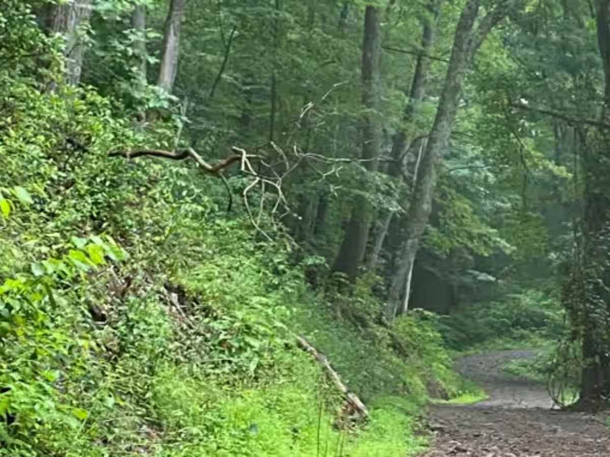 Close Mountain Road photo 2