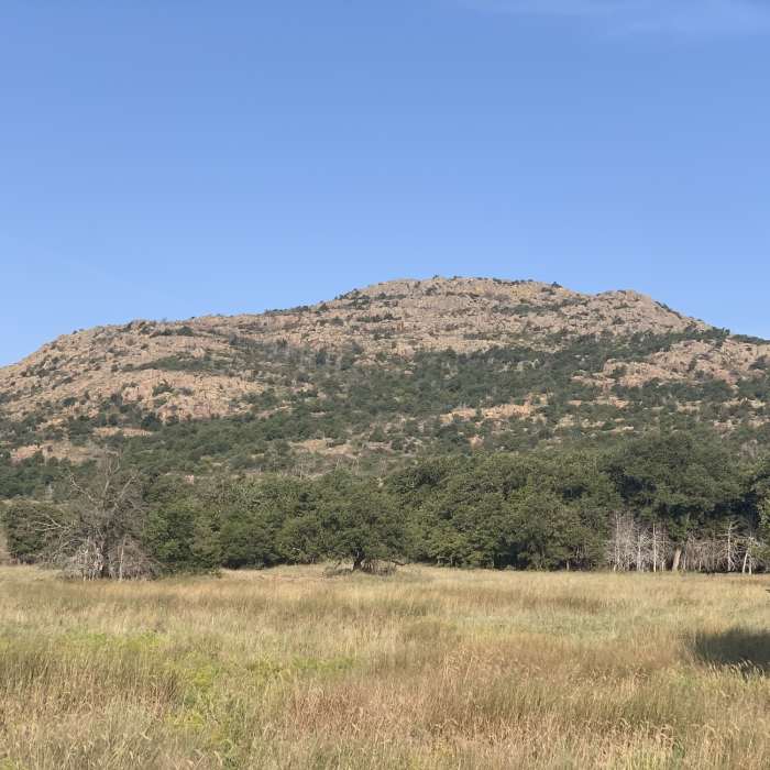 Mt.Scott Near Mt. Scott Fire Road