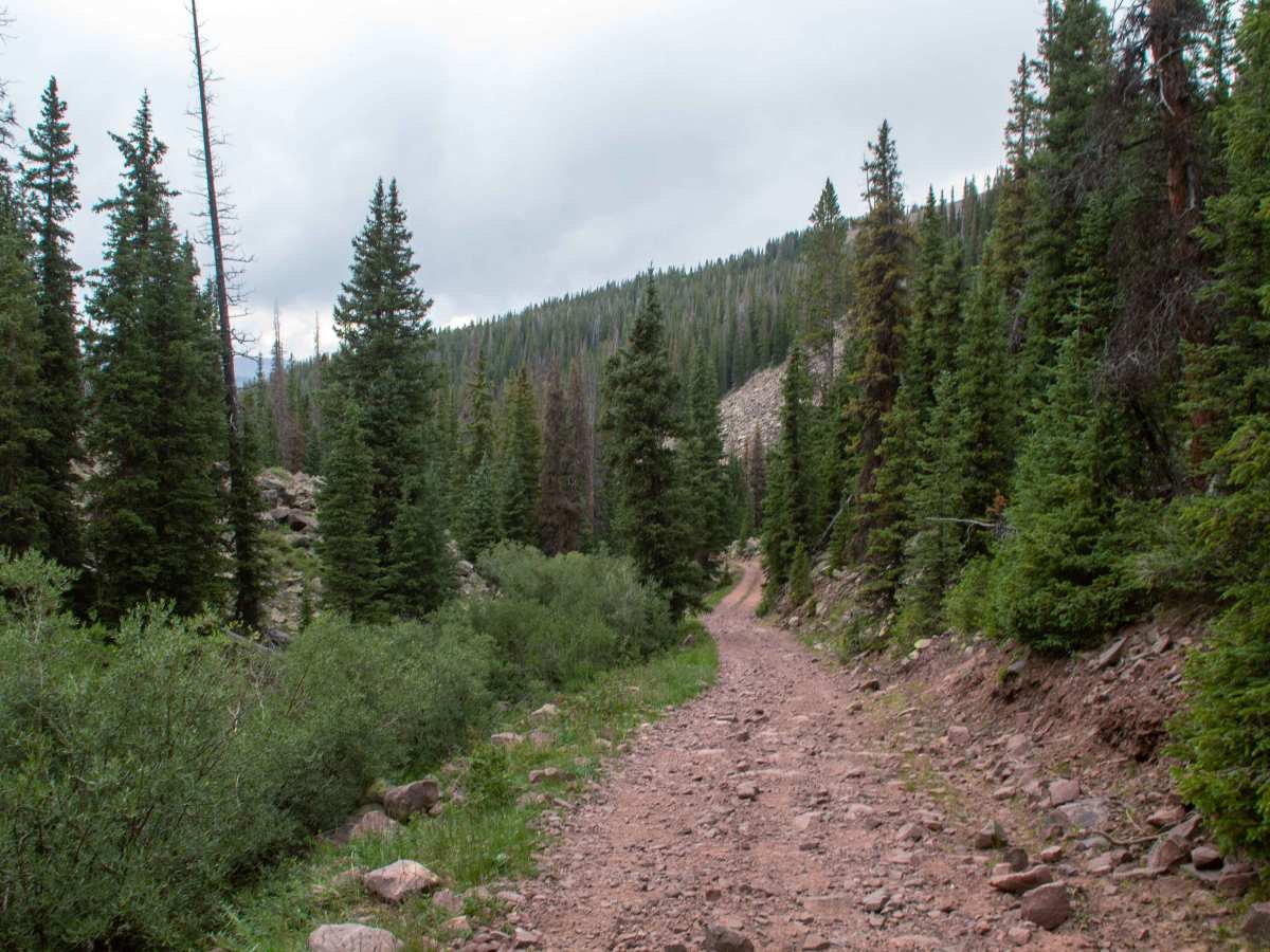 Johnson Creek - FS 10459 photo 6