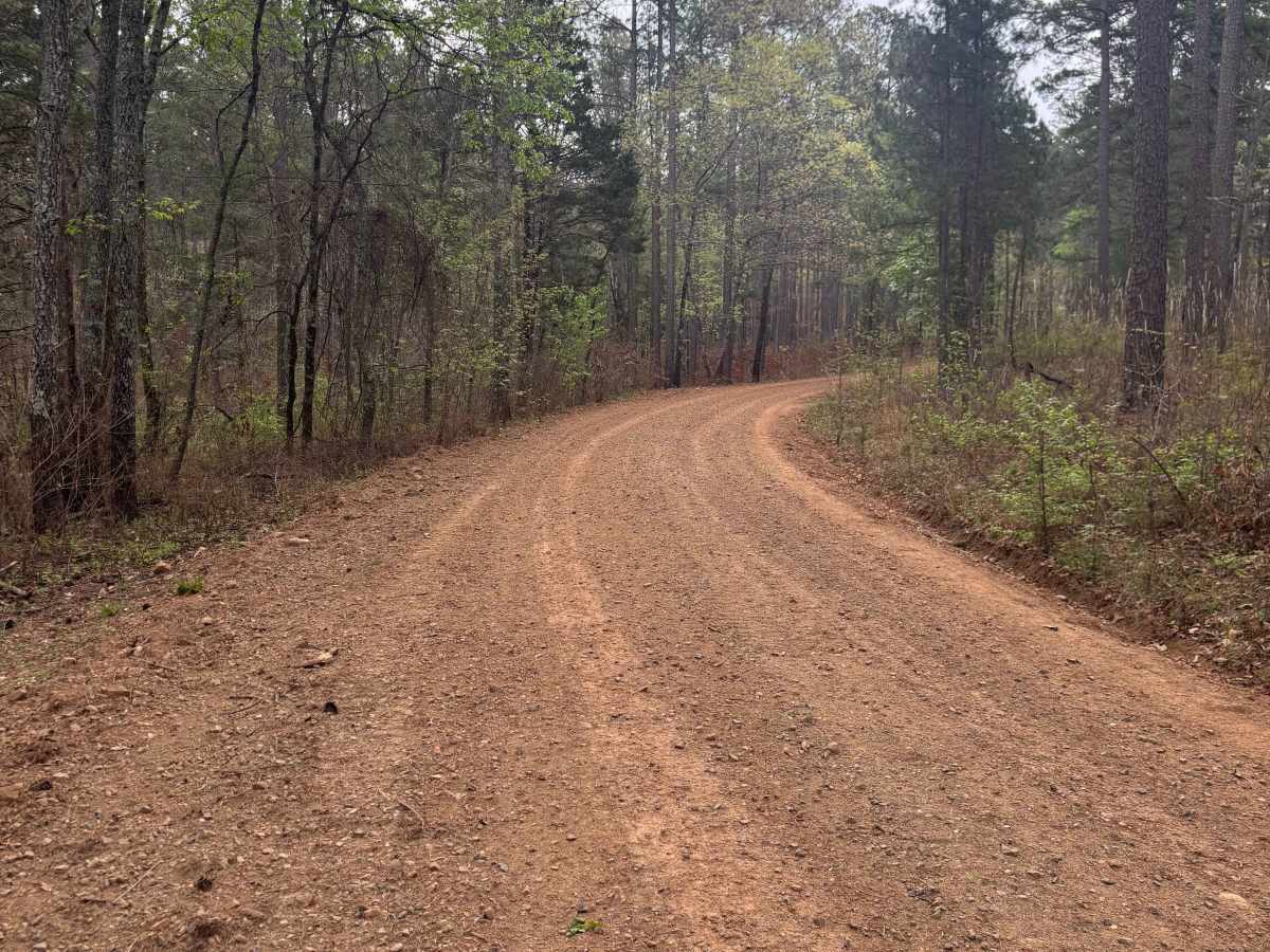 Tackett Mountain 1337 photo 6