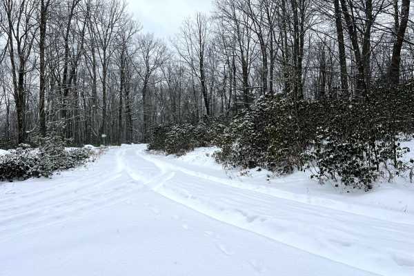 Mill Run Trail