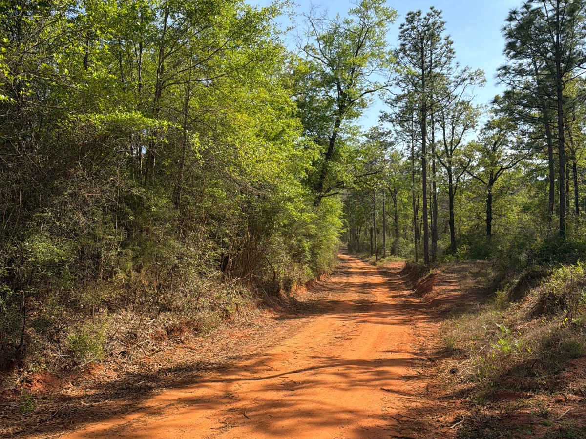 McCoy Road photo 3