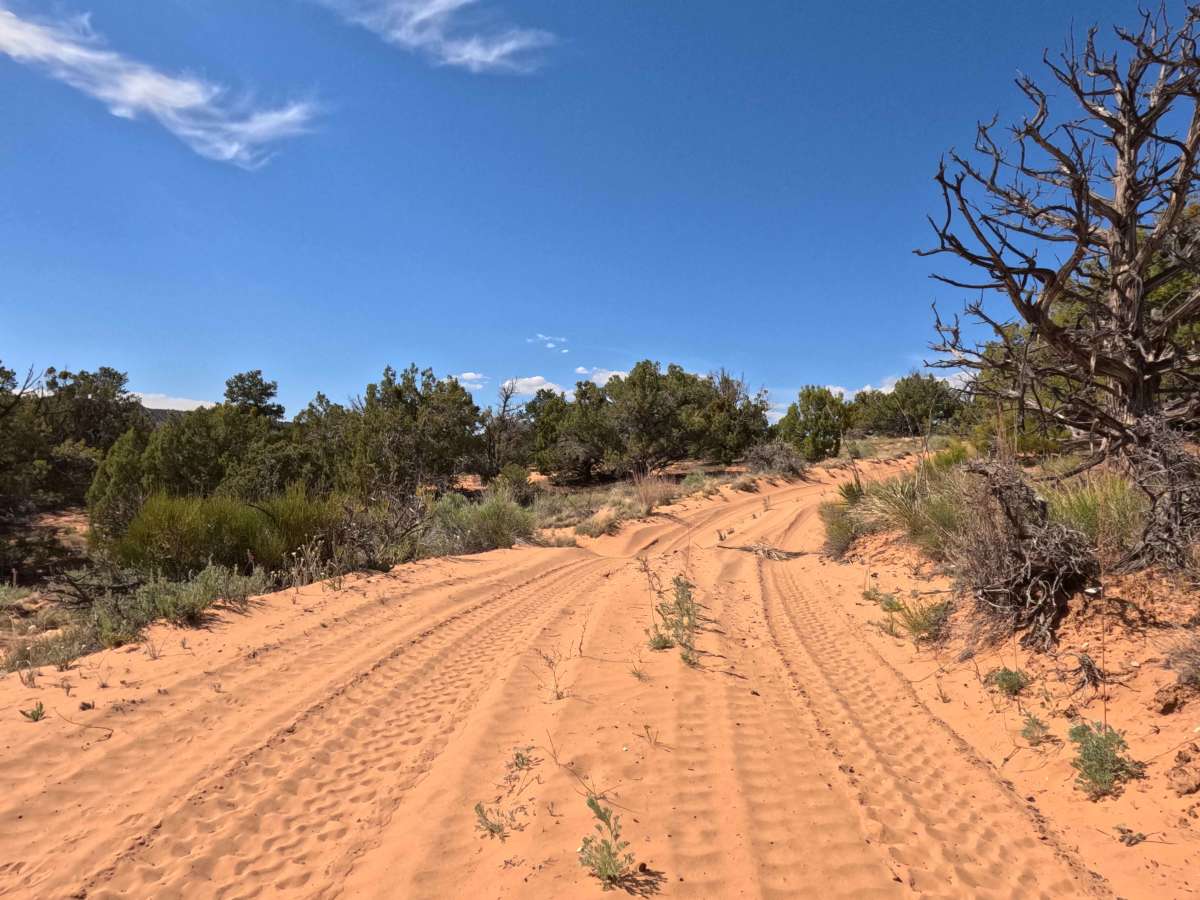 BLM 103N photo 6
