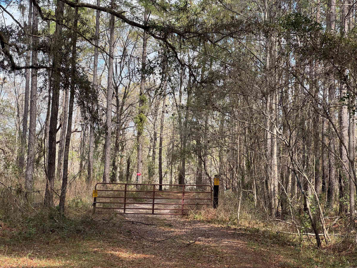Hinson Road photo 2