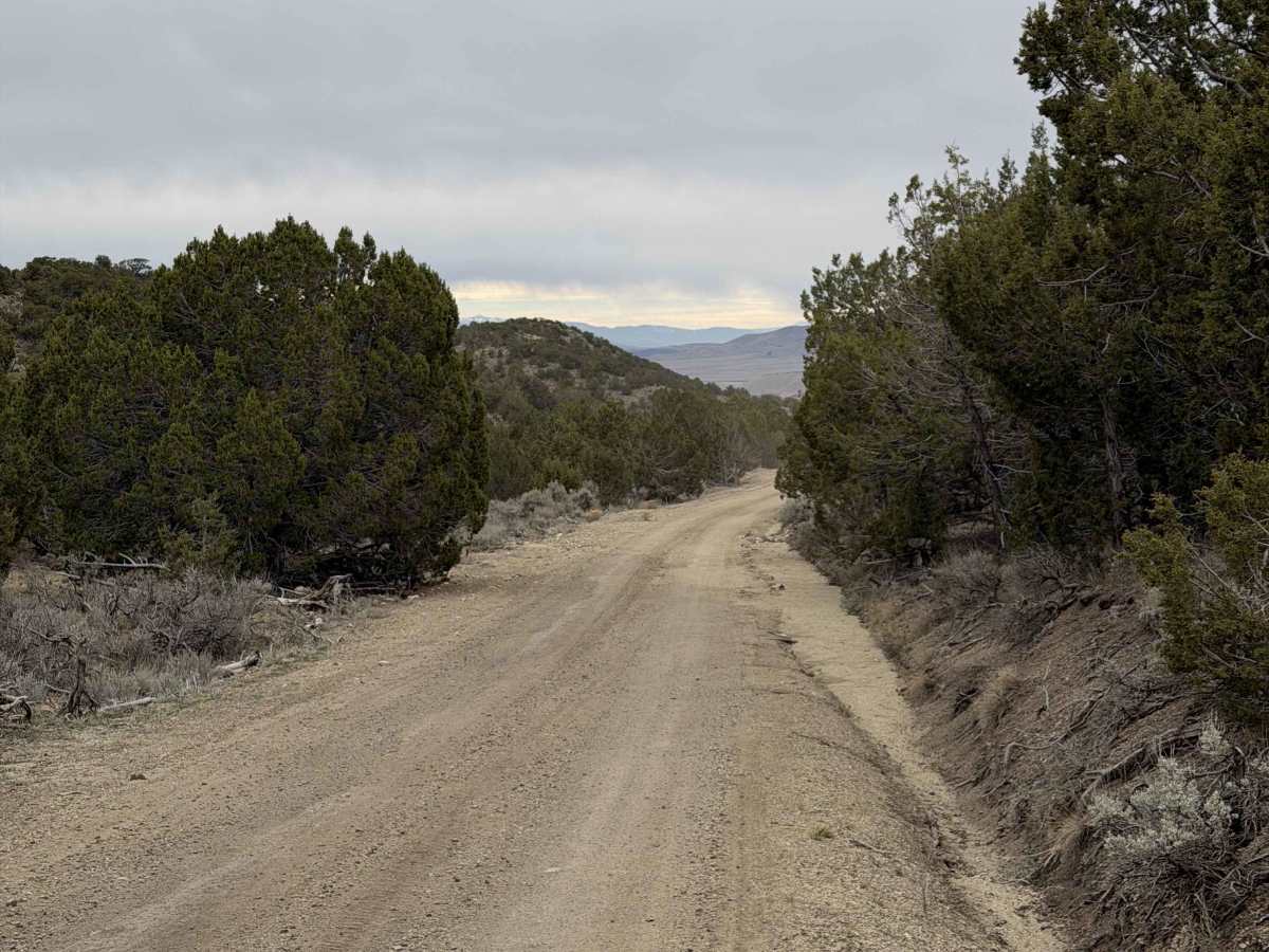Shepherd Road trail photo