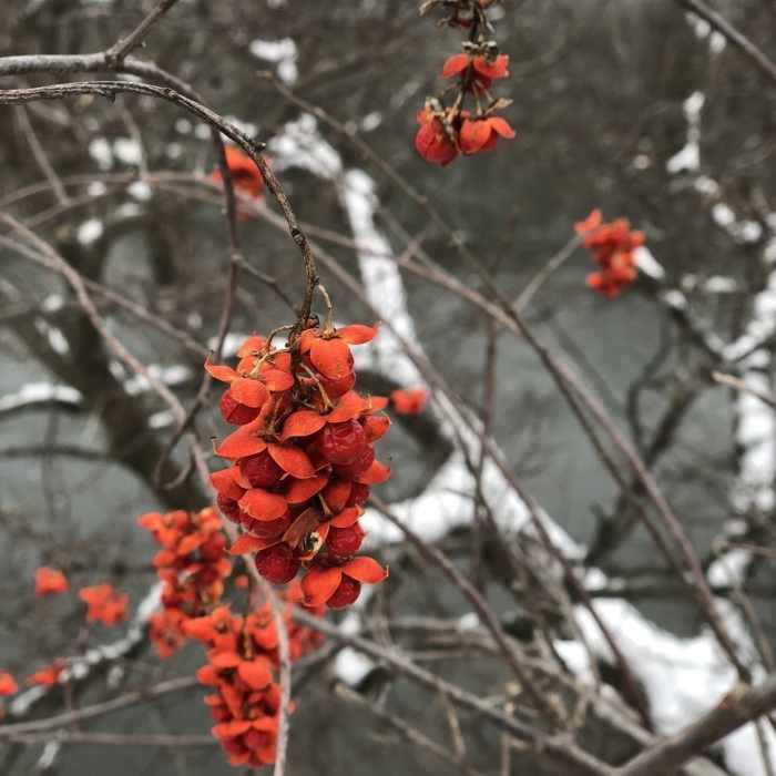 Near Crow Hassan Perimeter Loop