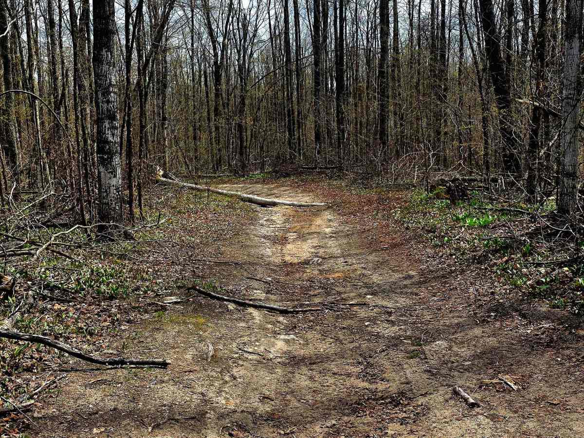Gillette Road  photo 3
