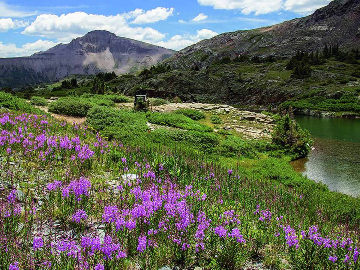 Stony Pass, Kite Lake photo 2