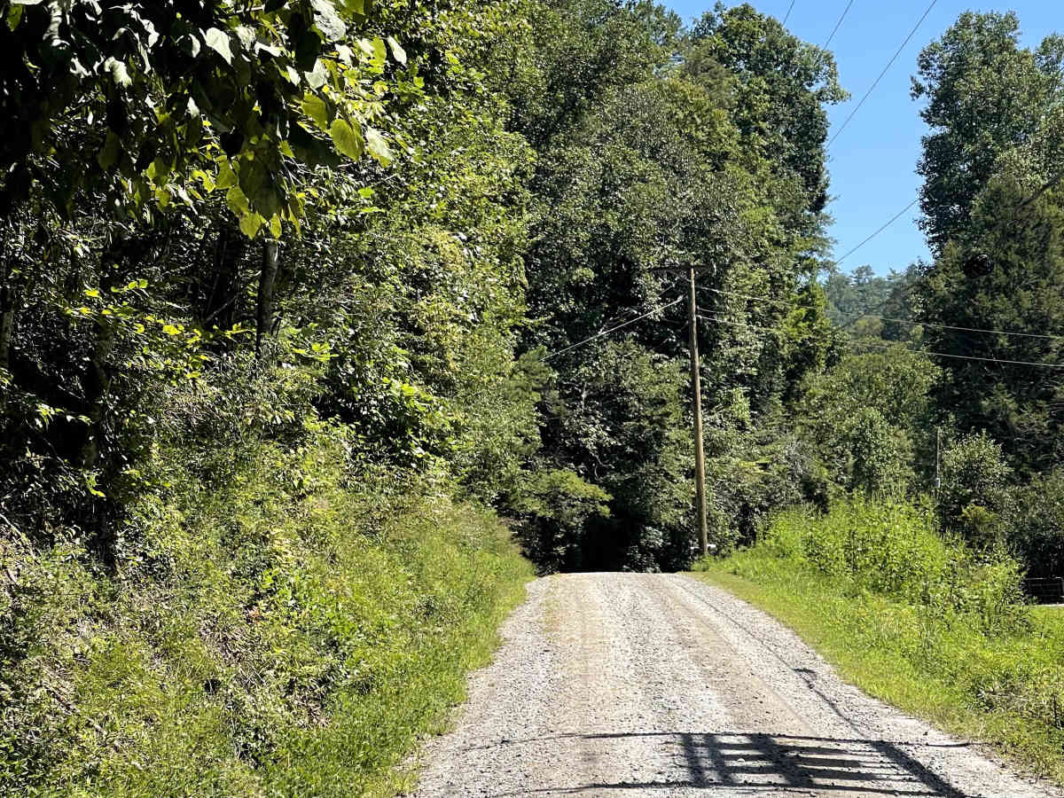 Globe Mountain Road photo 2